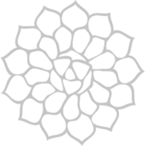 Natuur Mindset Logo Transparant Wit