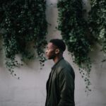 wall, vine, plants-2564902.jpg