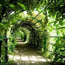 Training Groene Tunnel Permacultuur Natuur Mindset