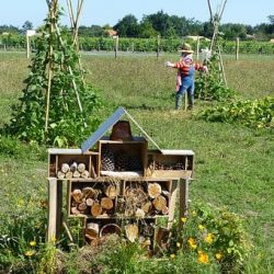Training tuin insectenhotel permacultuur Natuur Mindset