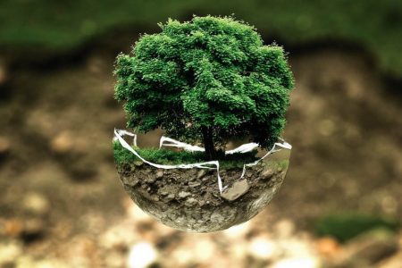 Workshop Persoonlijke Duurzaamheid Permacultuur Natuur Mindset