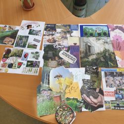 training permacultuur moodboard Natuur Mindset